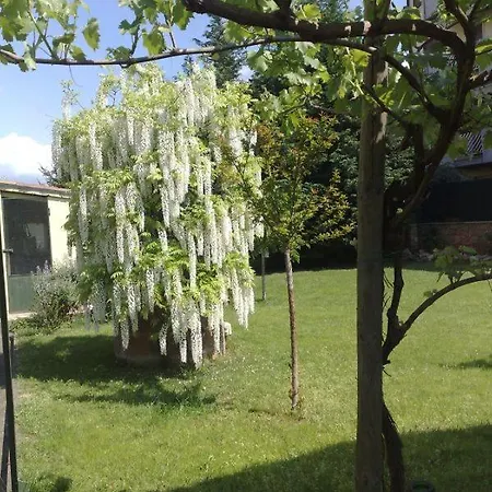 Bed & Breakfast Al Piccolo Giardino Verona
